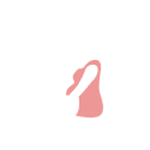 Pregnancy Pregnancy